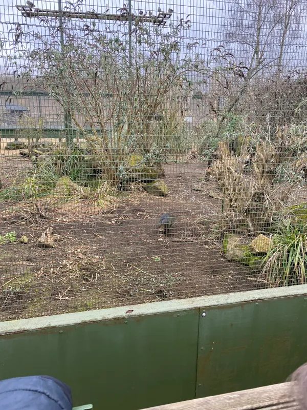 Gallery - created at 2023-02-28 20:50:59 - image 23 Gallery - created at 2023-02-28 20:50:59 - image 23