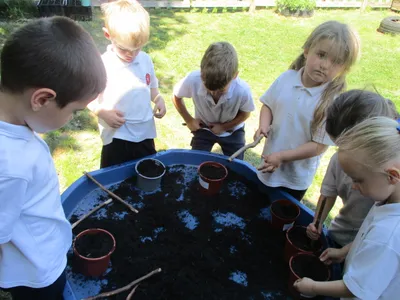 Planting - image 25