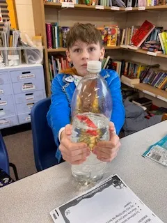 Gallery - created at 2024-03-07 16:40:56 - image 36