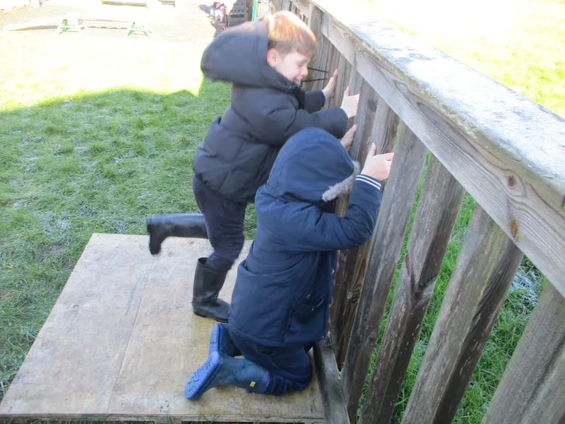 Gallery - image 4