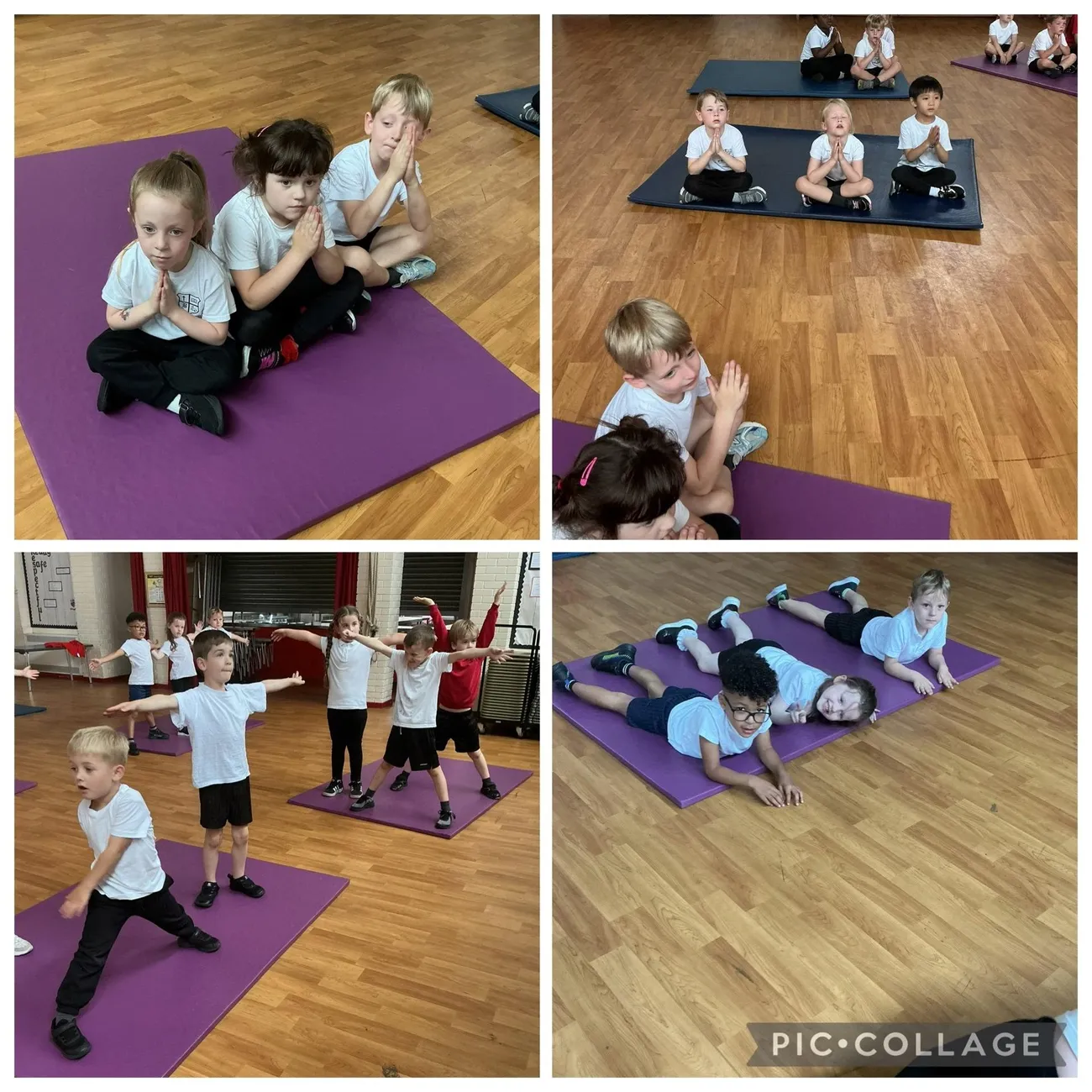 PE - image 12