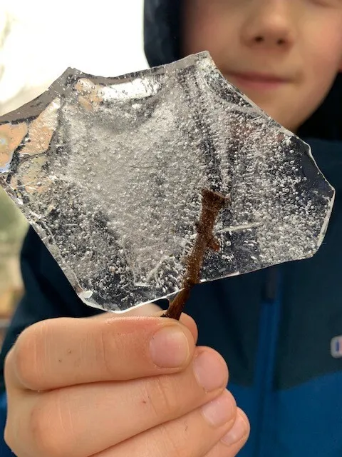 Gallery - created at 2023-01-24 16:02:32 - image 2