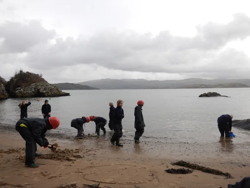 Gallery - created at 2024-02-29 21:40:03 - image 31 Gallery - created at 2024-02-29 21:40:03 - image 31