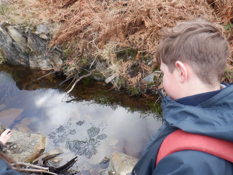 Gallery - created at 2025-02-26 20:19:52 - image 39