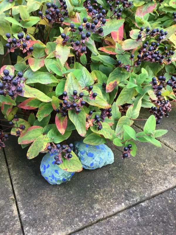 Gallery - created at 2019-11-06 20:19:44 - image 11 Gallery - created at 2019-11-06 20:19:44 - image 11