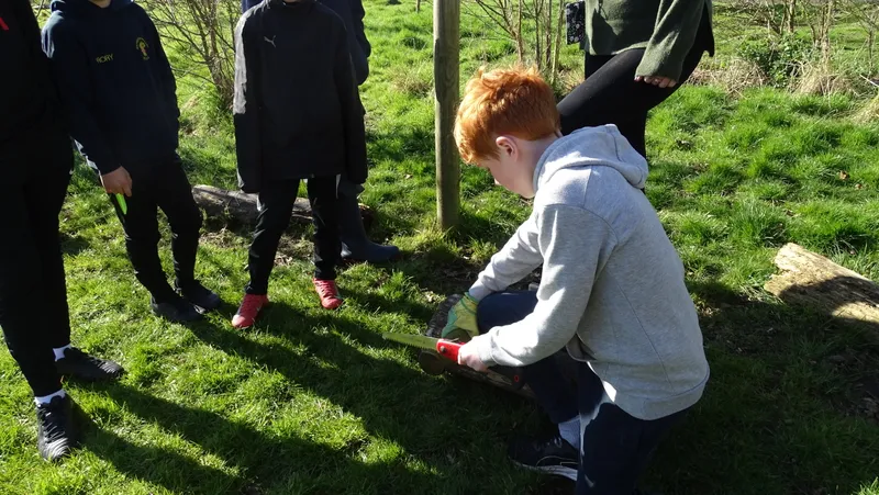 Years 5&6 Forest Schools - image 15