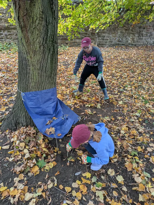 Gallery - created at 2025-10-16 16:10:32 - image 9