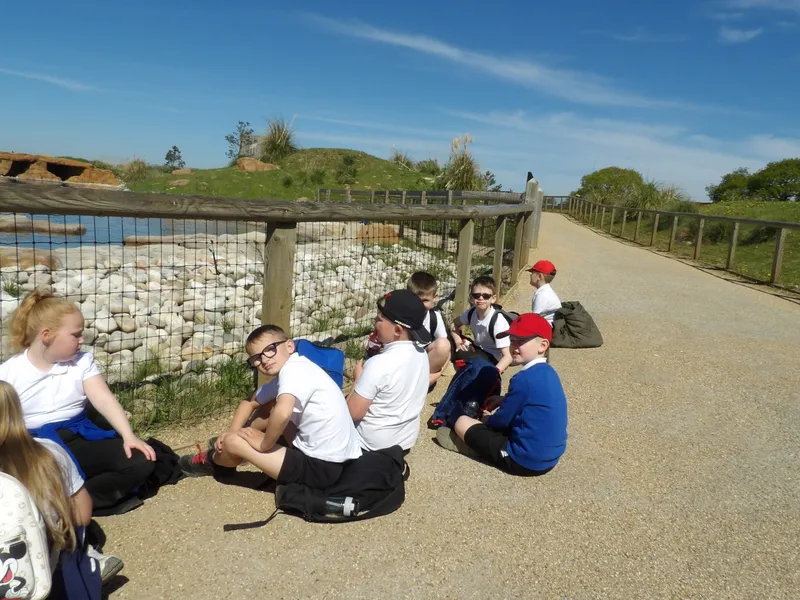 Y3 Yorkshire Wildlife Park Trip - image 13