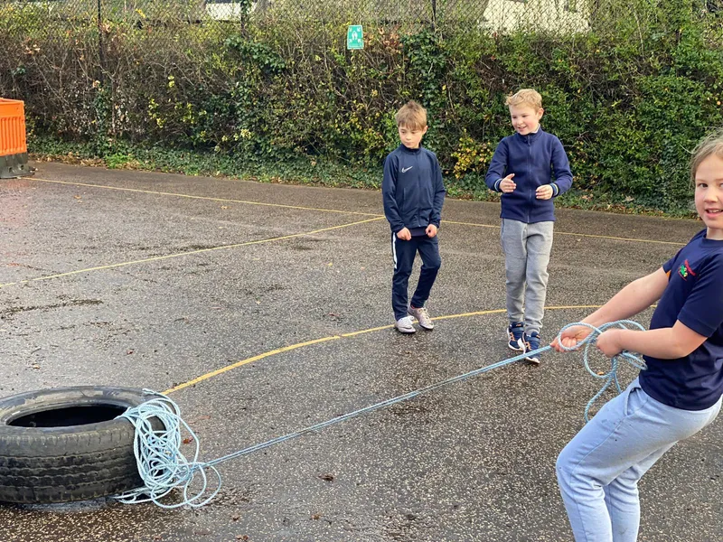 Gallery - created at 2020-11-29 11:13:33 - image 1