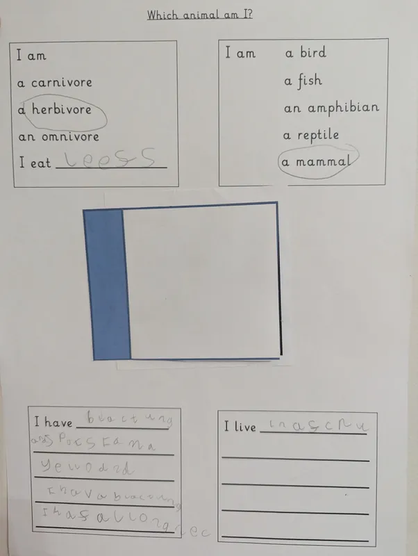 What animal am I? - image 8