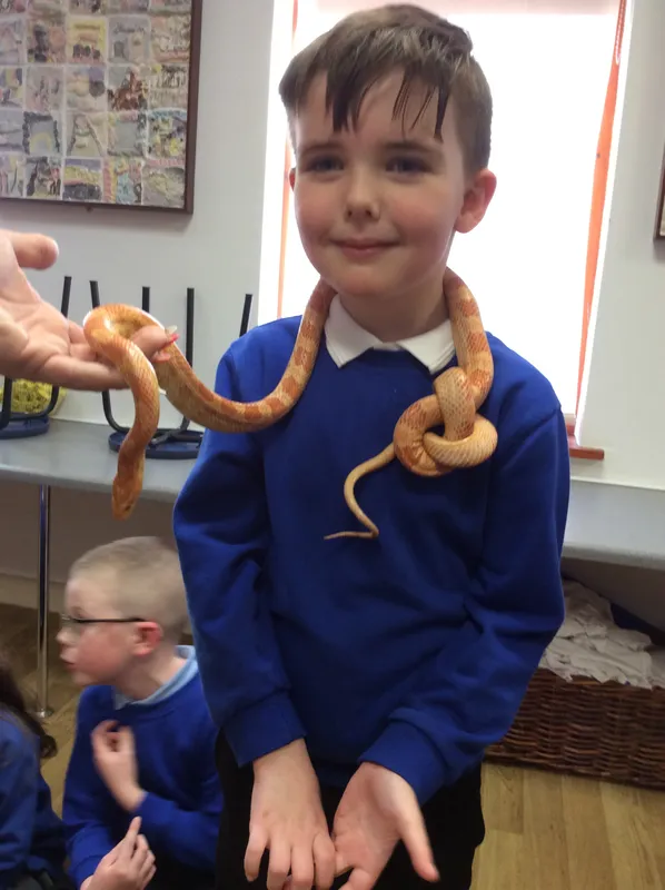 Gallery - created at 2024-02-26 17:15:57 - image 51 Gallery - created at 2024-02-26 17:15:57 - image 51