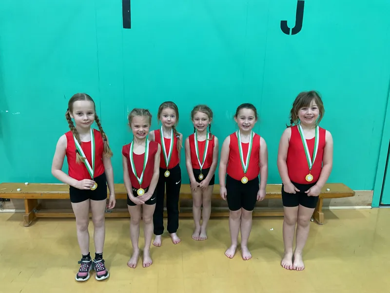 Gymnastics Competition 2026  - image 3