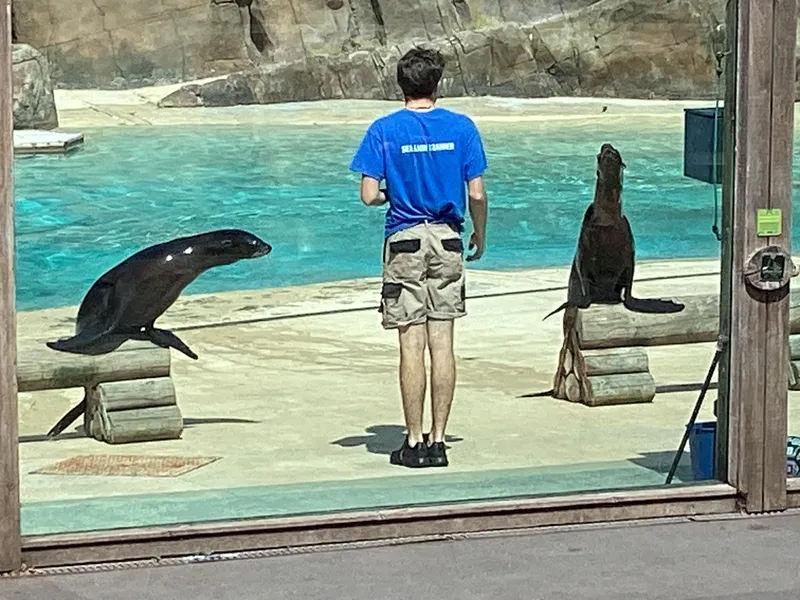 Blackpool zoo - image 12