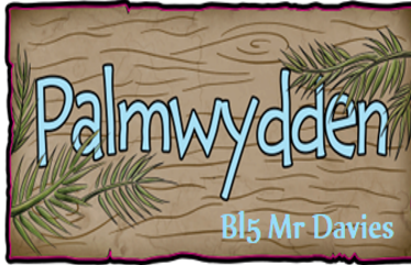 Blwyddyn 5 - Mr Davies