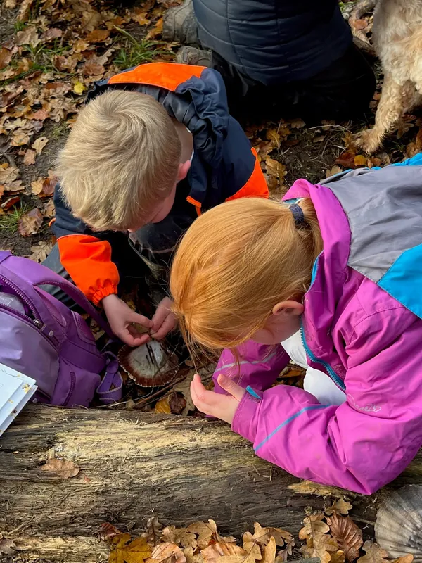 Gallery - created at 2022-12-06 12:52:57 - image 11