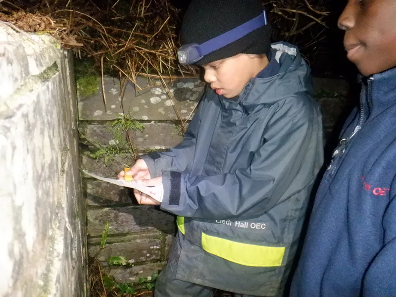 Gallery - created at 2025-02-25 21:38:38 - image 7