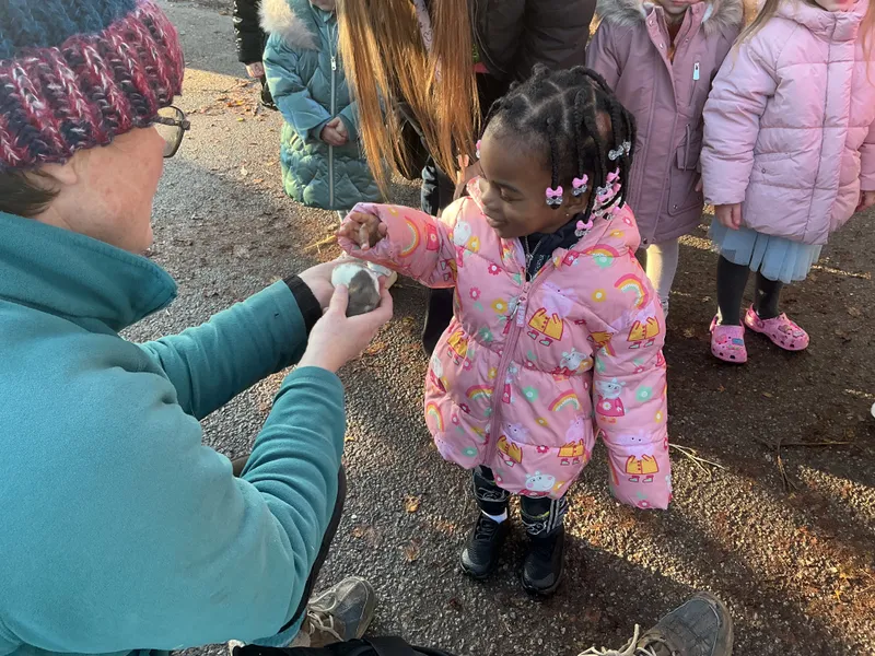 Stella farm on wheels Part 1 - image 30