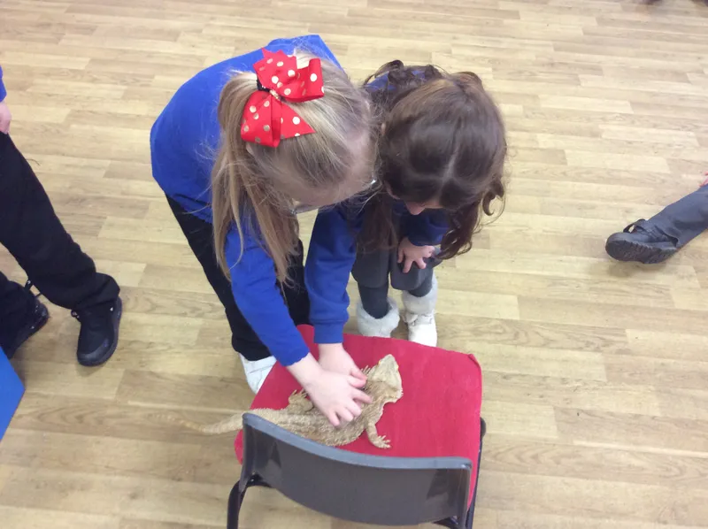 Gallery - created at 2024-03-05 13:52:56 - image 30 Gallery - created at 2024-03-05 13:52:56 - image 30