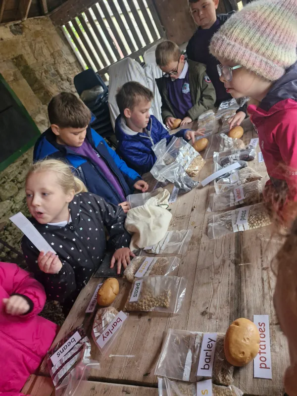 Gallery - created at 2024-10-02 11:38:57 - image 11 Gallery - created at 2024-10-02 11:38:57 - image 11