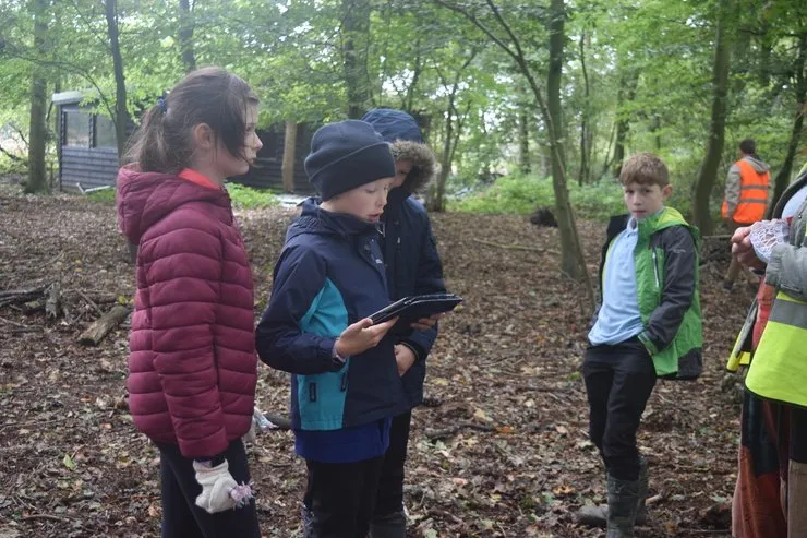 Gallery 6 - image 10