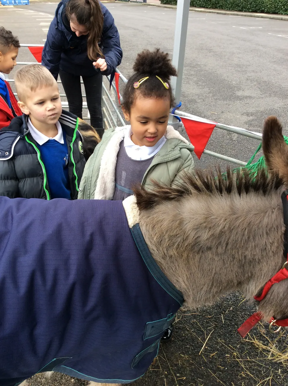 Gallery - created at 2022-03-04 13:11:52 - image 15