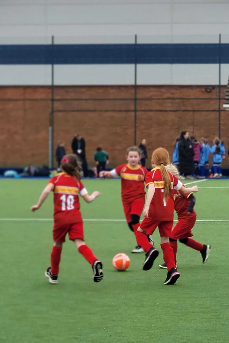 Gallery - created at 2024-02-24 13:31:37 - image 15 Gallery - created at 2024-02-24 13:31:37 - image 15