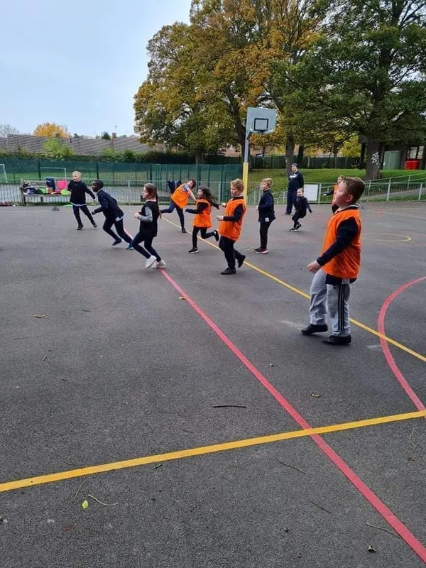 Y4 Paceball - image 1