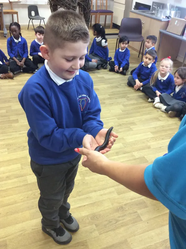 Gallery - created at 2024-03-05 13:52:56 - image 38 Gallery - created at 2024-03-05 13:52:56 - image 38