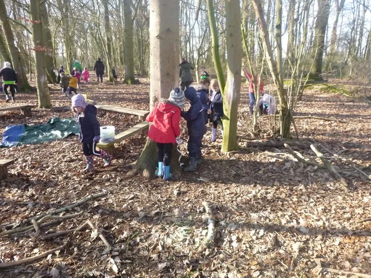 Gallery 7 - image 25