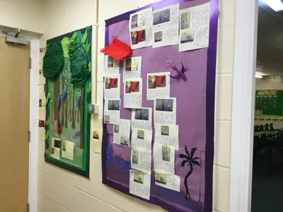 Year 4 - image 1
