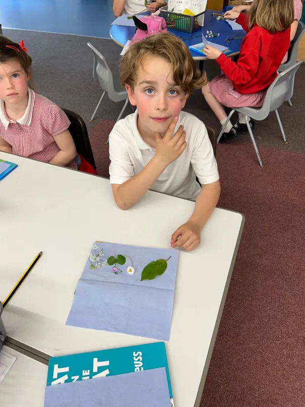 Gallery - created at 2024-05-10 11:51:34 - image 9