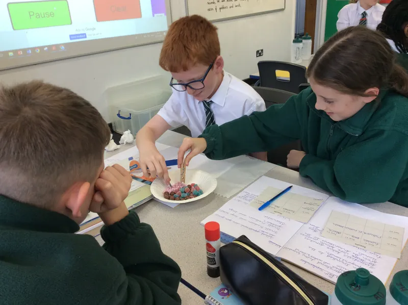 Sycamore Science - Natural Selection - image 7