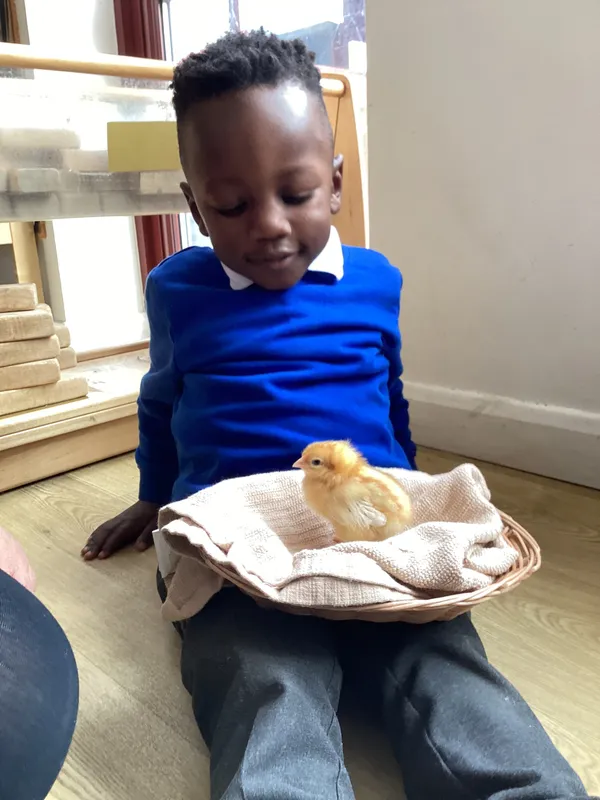 Gallery - created at 2025-04-08 15:36:47 - image 38