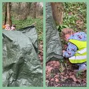 Forest School 12 - image 1 Forest School 12 - image 1
