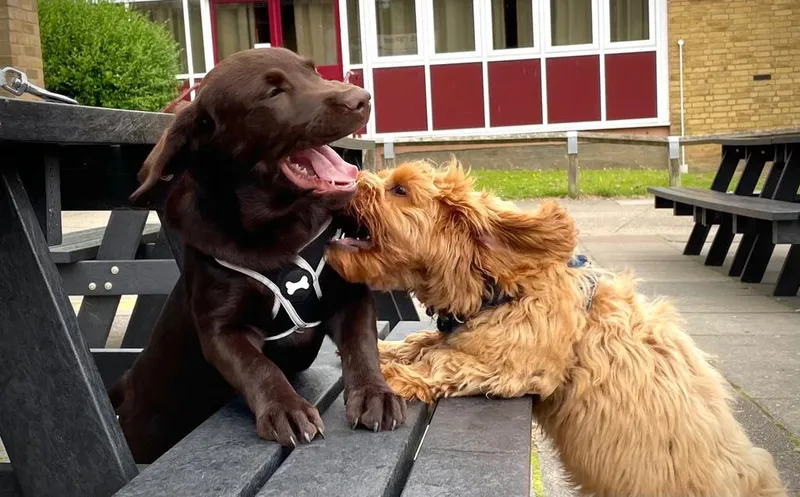 Gallery - created at 2021-06-30 13:57:57 - image 20