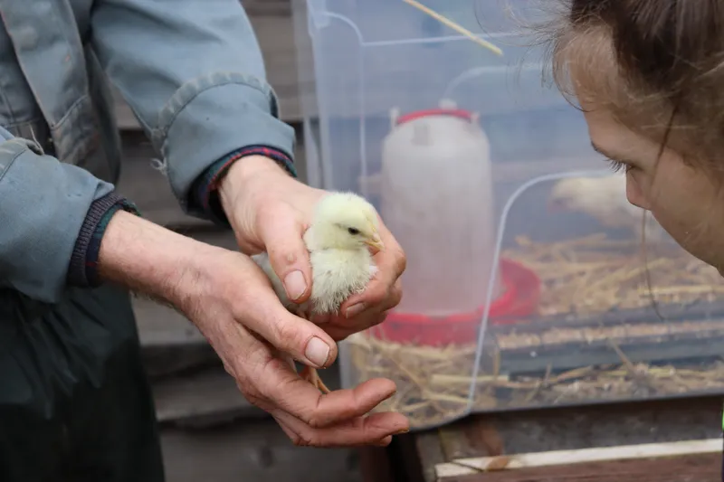 Farm march '26 - image 18 Farm march '26 - image 18