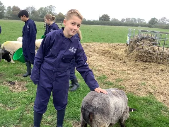 Farm Trip 25 - Gallery 2 - image 22