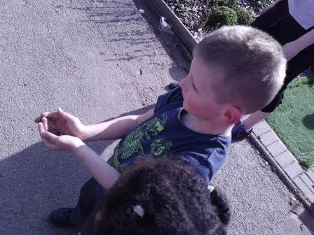 Gallery - created at 2018-01-17 17:01:31 - image 13