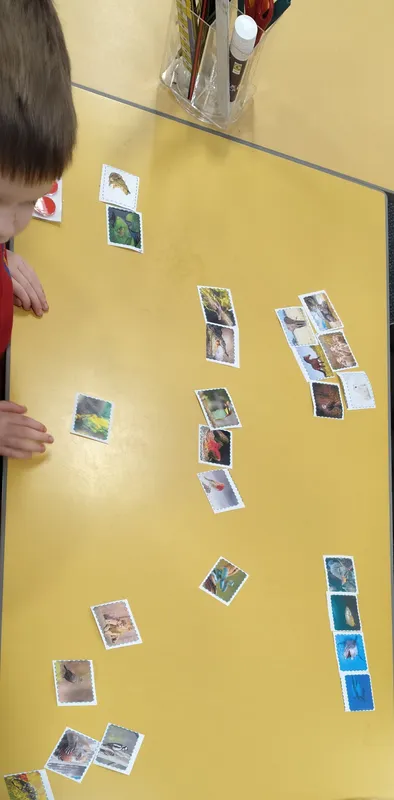 Gallery - created at 2025-05-18 08:56:59 - image 4