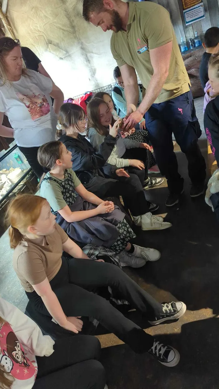 Gallery - created at 2024-06-06 15:03:55 - image 82