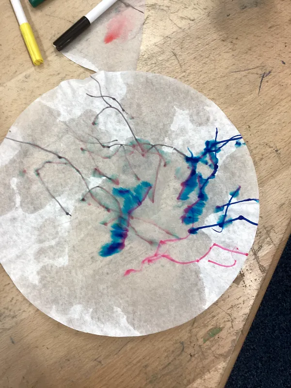 Science Week 2026 - image 47