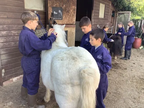 Farm 2025 - Gallery 3 - image 26