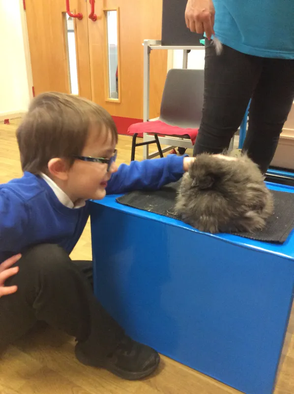 Gallery - created at 2024-03-05 13:52:56 - image 34 Gallery - created at 2024-03-05 13:52:56 - image 34