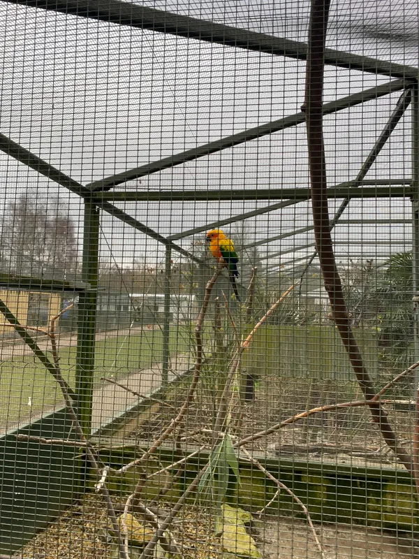 Gallery - created at 2023-02-28 20:50:59 - image 25 Gallery - created at 2023-02-28 20:50:59 - image 25