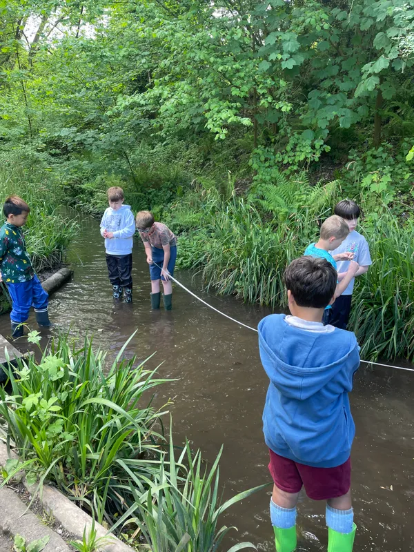 Drews Pond Woods - image 30