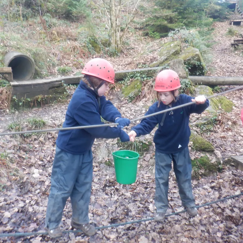 Gallery - created at 2025-02-27 19:57:56 - image 10