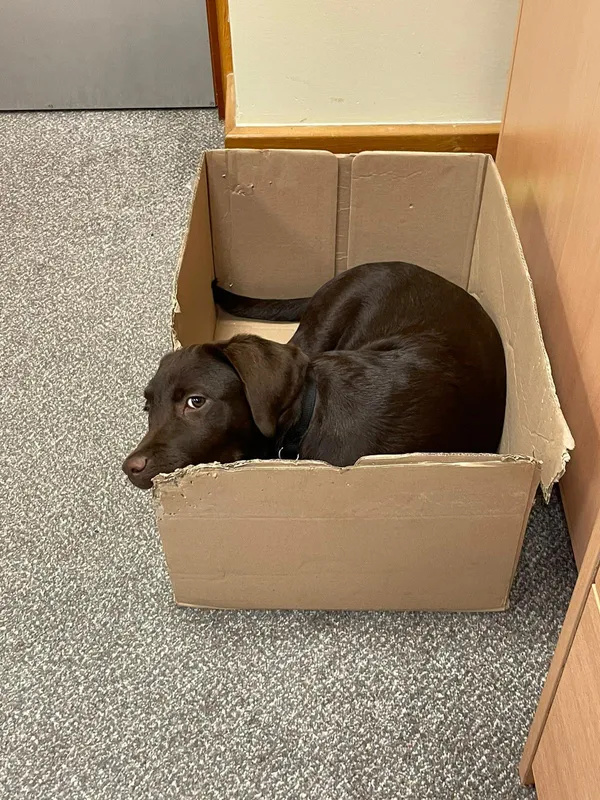 Gallery - created at 2021-06-30 13:57:57 - image 19