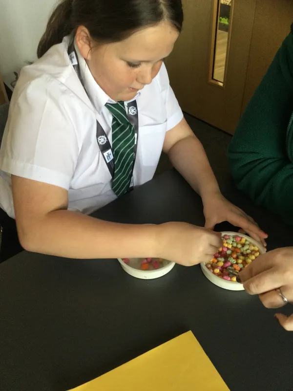 Chestnut 2024 - Darwin adaptation experiment - image 10