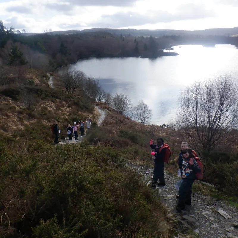 Gallery - created at 2025-02-27 19:57:56 - image 18