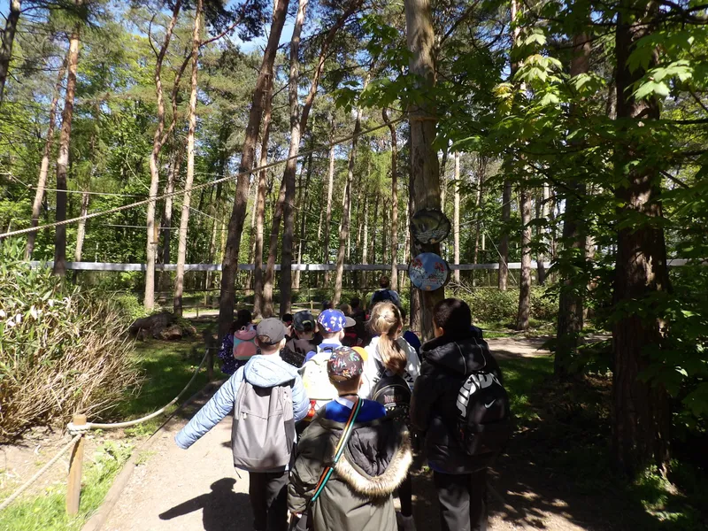 Y3 Yorkshire Wildlife Park Trip - image 64